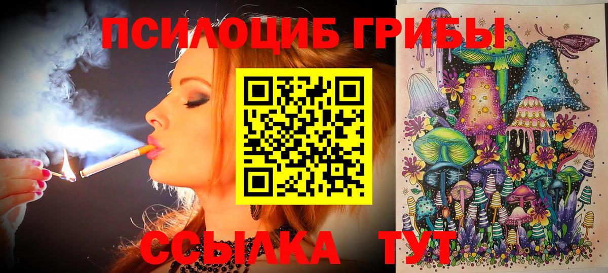 Галлюциногенные грибы Psilocybine cubensis Скопин
